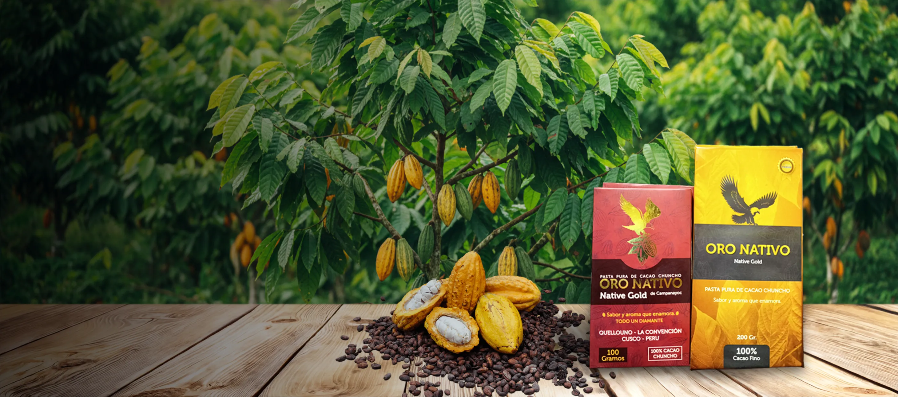 Cacao Puro de Excelencia